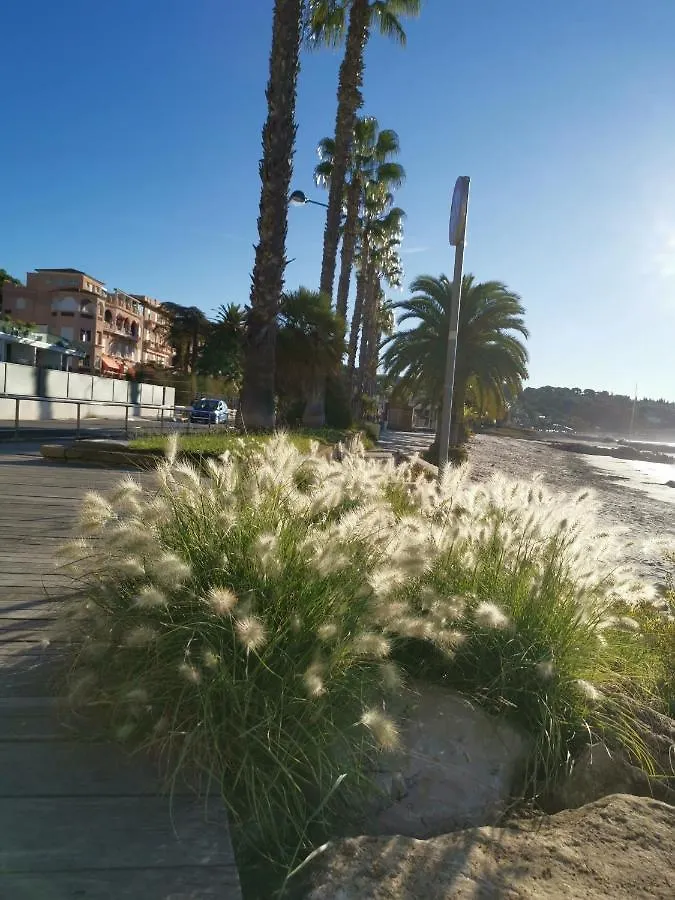 Ofdl B T1 Bandol - Briotine Foyalais Apartment 0*,  France