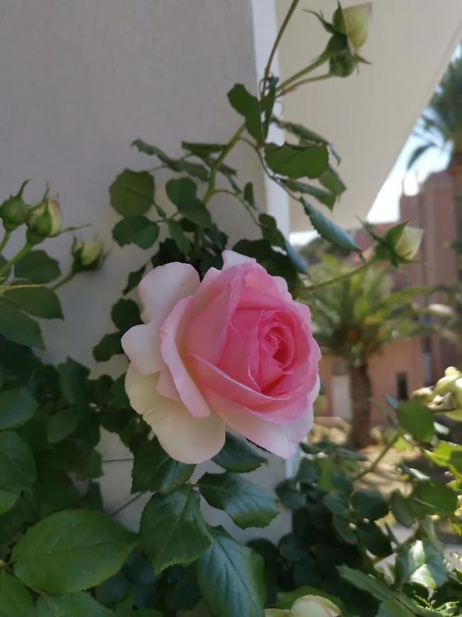 Ofdl B T1 Bandol - Briotine Foyalais Apartment